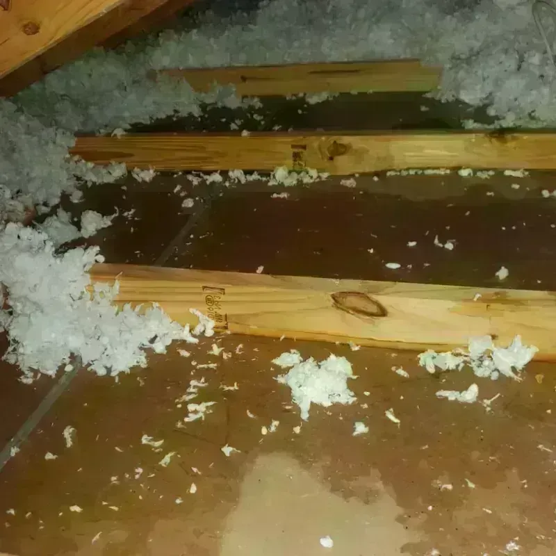 Attic Water Damage in Muenster, TX